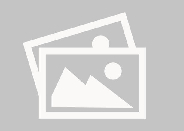 LKG Activity Kit: Engaging & Educational Learning Kit for Kids