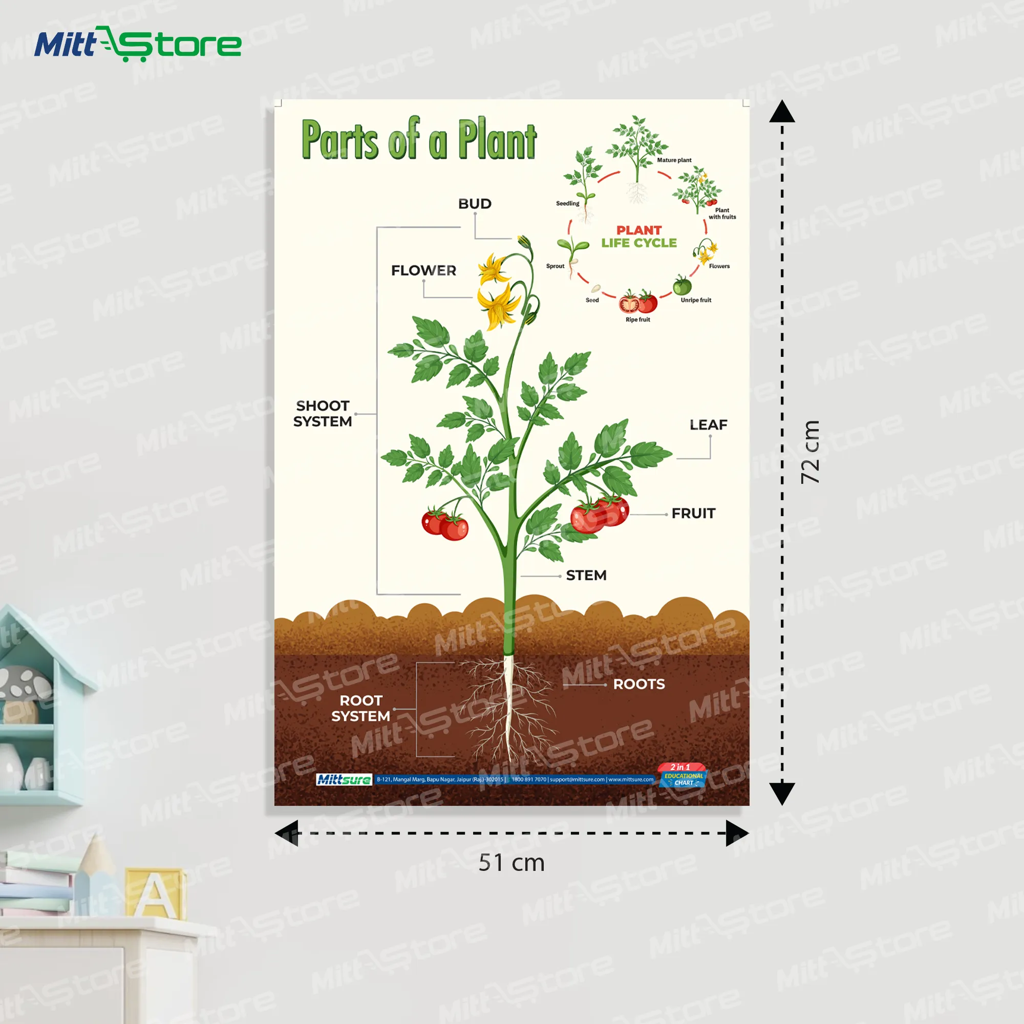 Life Cycle & Parts of a Plant Chart for Kids – Laminated Science Learning Poster | Visual STEM Chart for Preschool & Primary