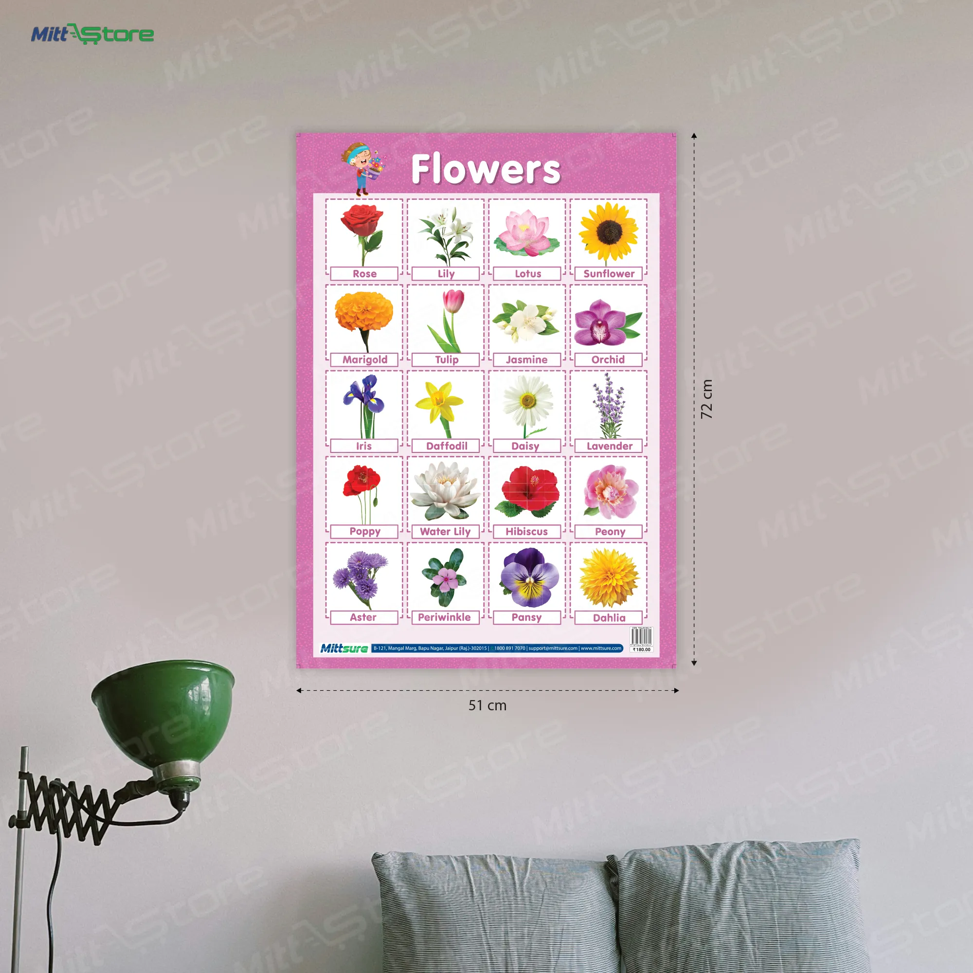 Flower & Plain Shape Chart – A Fun & Educational Learning Tool for Kids!