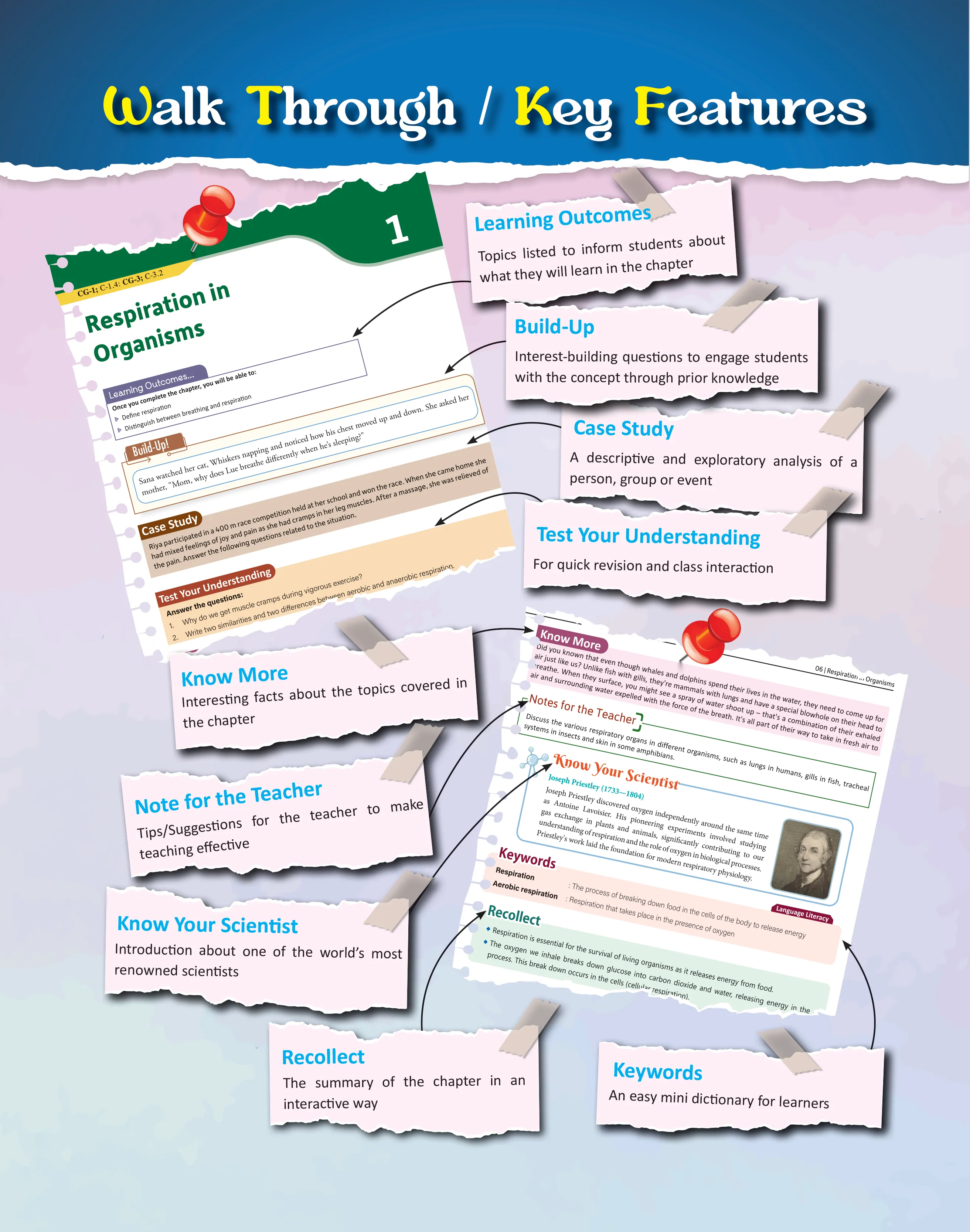 product-download-img