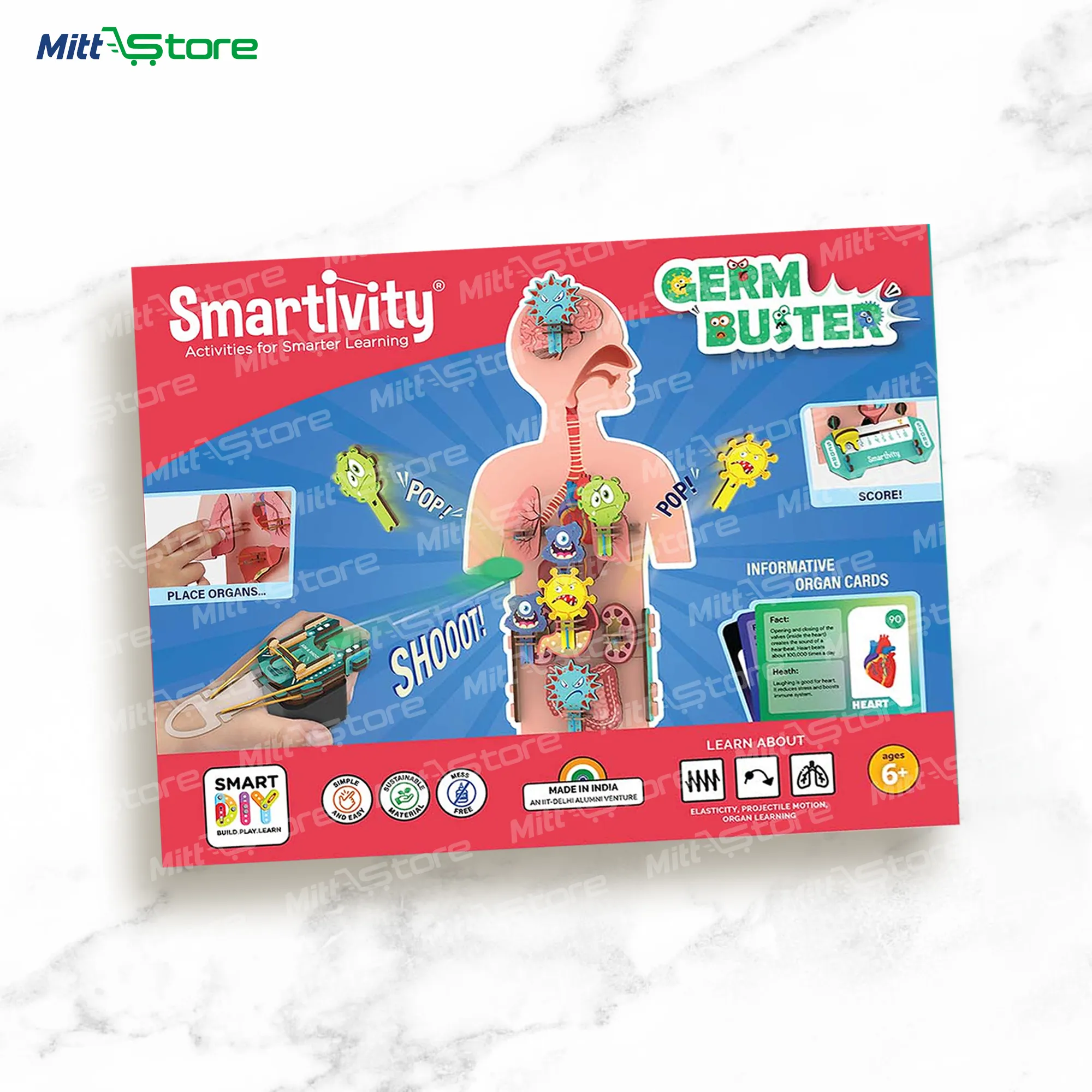 Human Body DIY STEM Construction Toy | Interactive Anatomy Learning Toy